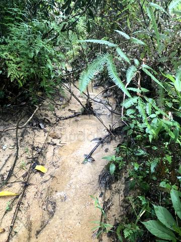 Tanah Pertanian Rawang Bypass Anak Sungai sesuai Kebun Durian 1