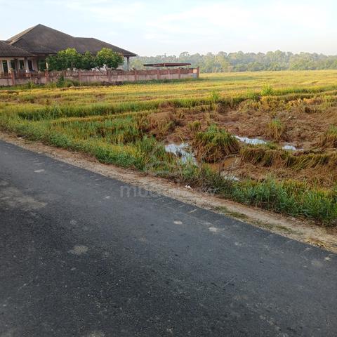Tnh padi Habis lawa 935D tepi bglo 40m dkt jln tar Dewan Beta 1