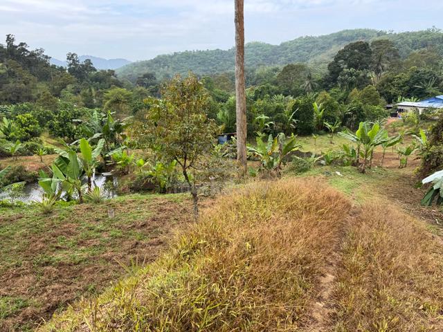 Hulu Langat Sungai Terkali orchard Land for sale 1