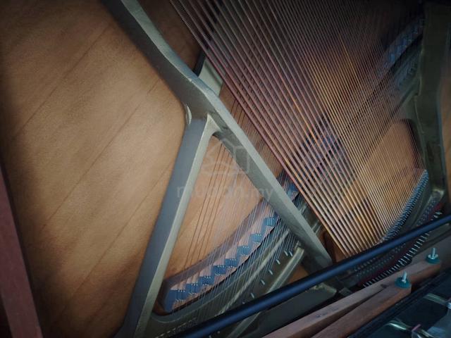 Carousel Image