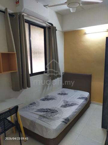 Single Room单人房Puncak Terubong Air Itam Farlim 1