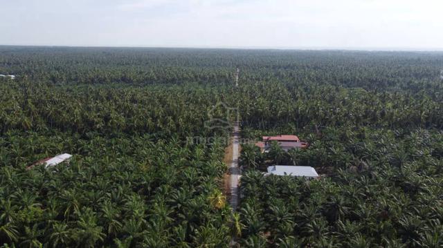 2.5 Ekar Tanah, Berhampiran Politeknik & Pantai B.N.O. Sabak Bernam. 3