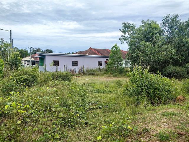 Tanah LOT BANGLO 0.32EKAR SEBELAH SURAU KG BUKIT BUCU BATU RAKIT 1