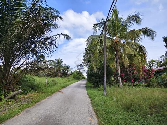 Kulai to Kota Tinggi Fully fenced land with ready coconut trees 1