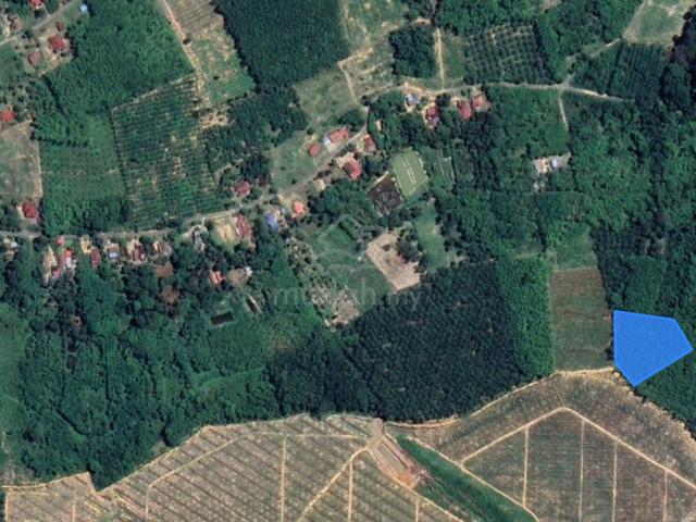 Freehold Land Bukit Senggeh , Jasin , Melaka 1