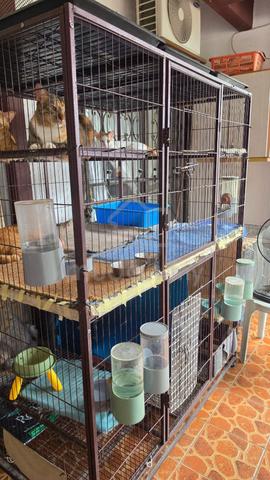 Cat Cage Double Layer - photo 2 of 3