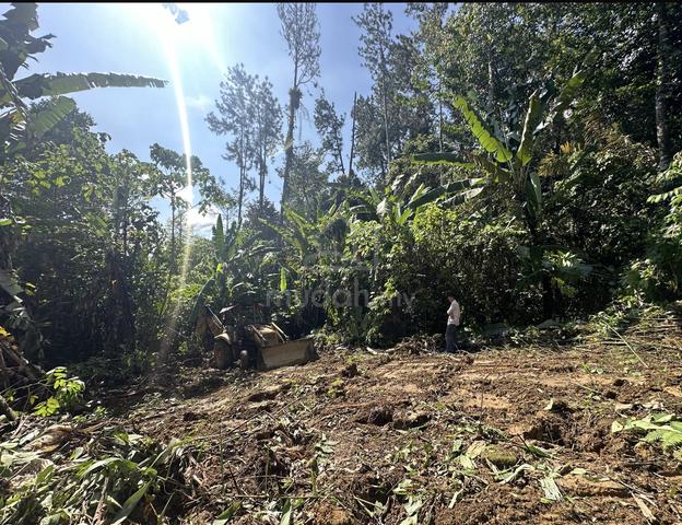 Land For Sale In Tanarimba Pine, Janda Baik 1