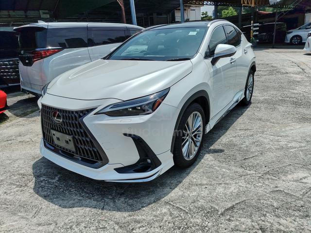 2023 Lexus NX 250 Version L P/R 360Cam M/Bodykit - 2