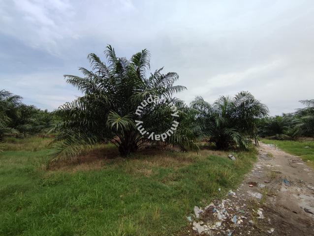 Nice!! Nice!! Jenjarom 4.512 acres agricultural land zoned residential 2