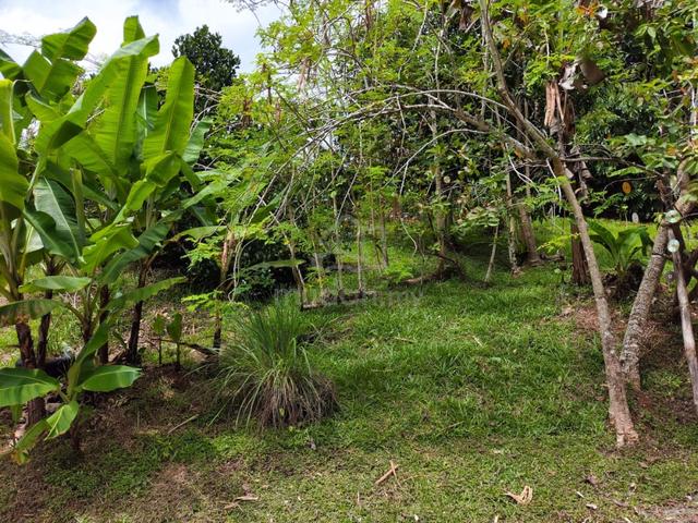 Detached Land At Nearby Crookshank Road & Bampfylde Road For Sale 5
