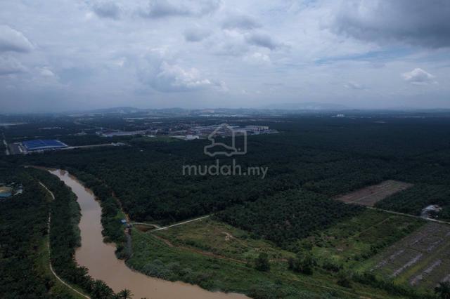 INFRA READY BUMI 127 acres Land Kuala Langat 4