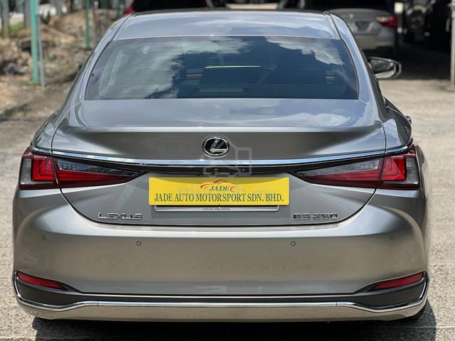 2021 Lexus ES250 LUXURY 2.5L (A) - 5