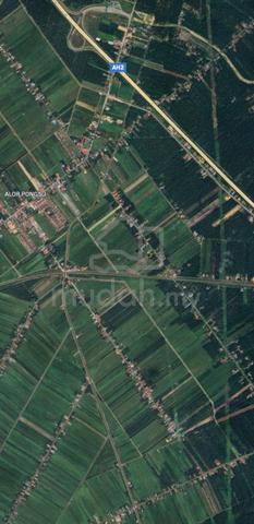 Freehold Agricultural Land for Sale ๐ฟ 1