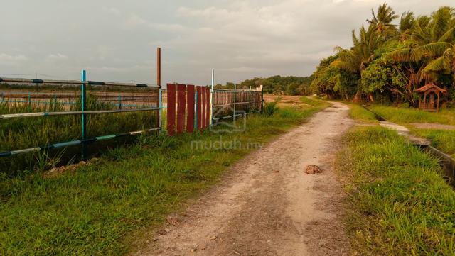 Penang Kubang Semang Residential Freehold Land For Sale 1