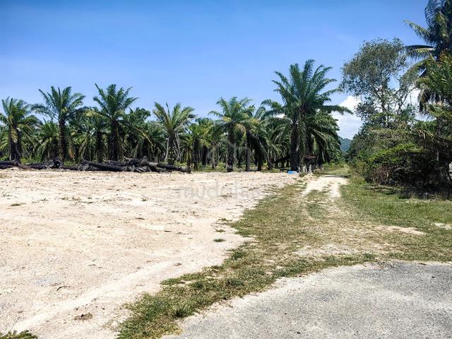 Tanah 5LOT BANGLO SIAP TAMBUN KG GONG BERIS PULAU KERENGGA Marang 1