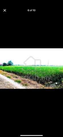 Tanah Sawah Untuk Dijual di Parit 6 1/2 Timur, Sg Besar 1