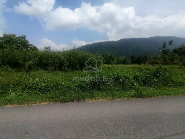 Tanah Untuk Tapak Rumah Dan Dusun 3