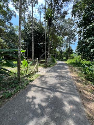 Tanah Dusun Durian/Buah serta Rumah 1.3relong 1