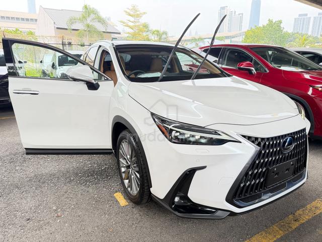 2023 Lexus NX250 2.5 LUXURY P-Roof 360 CAM Unreg - 1