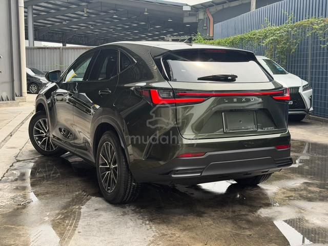 2023 Lexus NX250 2.5L Green Rare unit Low mileage - 2