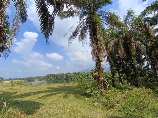 [ Termurah ] 8 ekar Agriculture Land, Chenderiang, Tapah, Perak 1