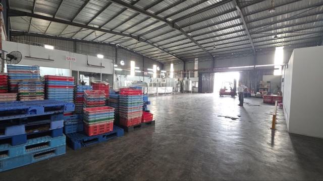 Benut 1 Storey Factory For Rent 1