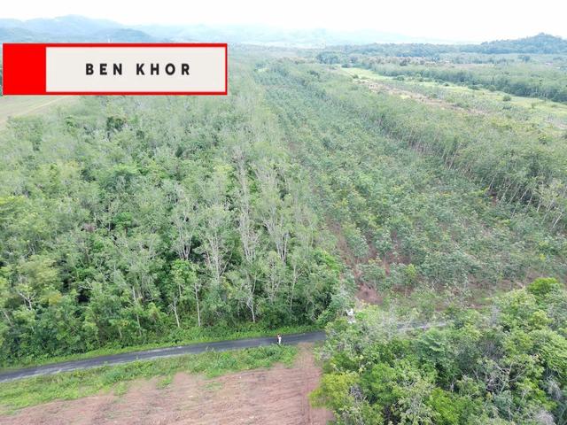 7.671 Acres | Agricultural Land | Titi Tinggi | PERLIS 1