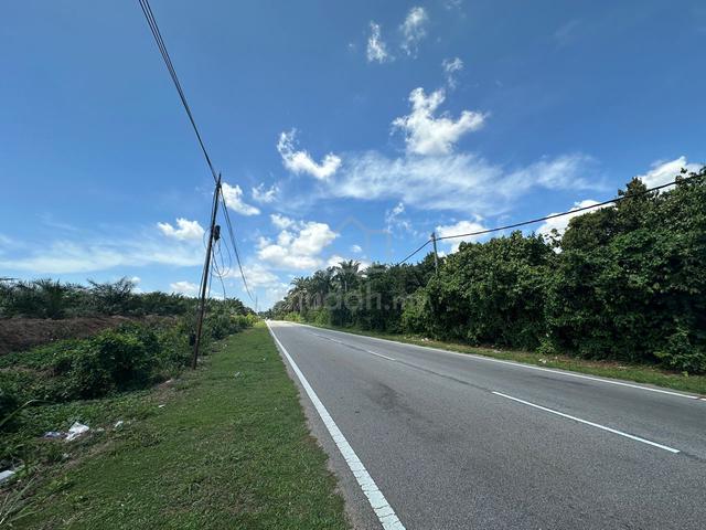 Agricultural Land@Pinang Tunggal For Rent🤩🩷 1