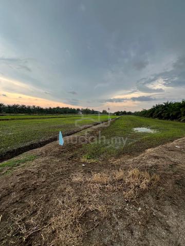 tanah untuk dijual 1