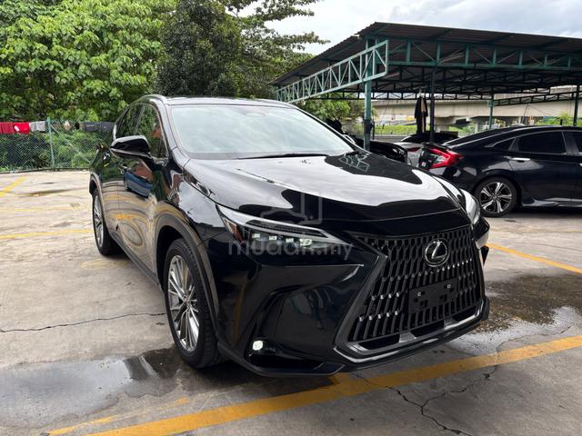 2023 Lexus NX 250 2.5 V.L (A) SUV - 3