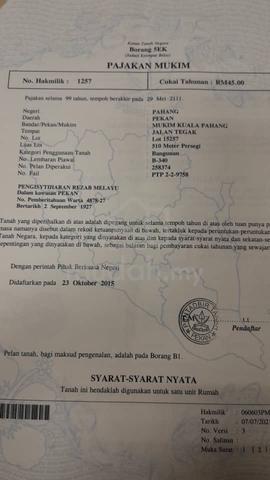 Tanah 1 ekar di UMP pekan jalan tegak 1