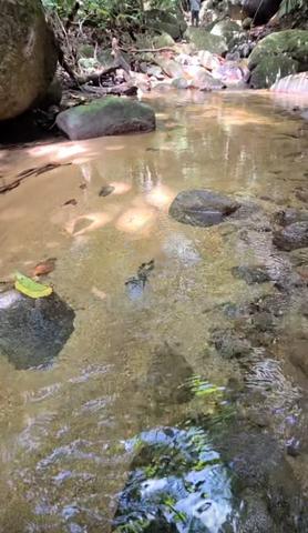 Tanah NON BUMI ada sungai jernih PERAK 1