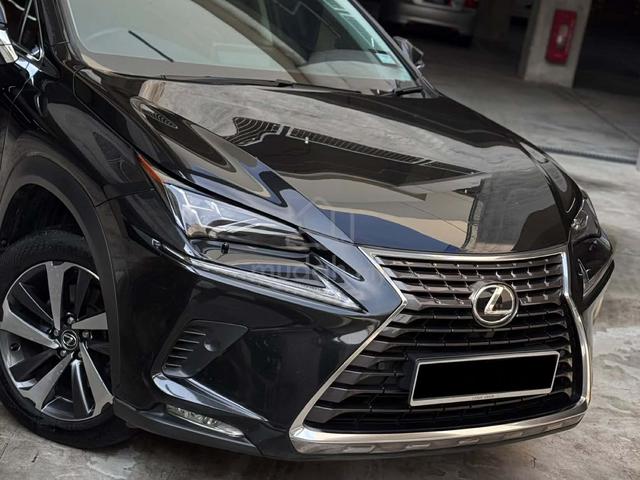 2018 Lexus NX 300 2.0 PREMIUM (A) RED INTERIOR - 3