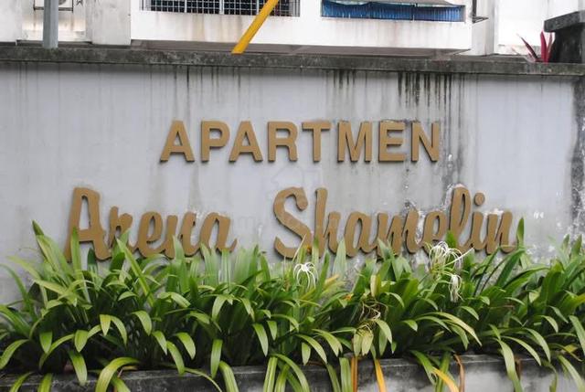 Apartment Arena Shamelin 1