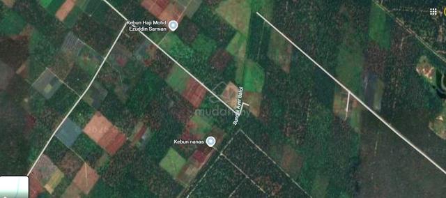 5.92-Acre Agricultural Land for Sale in Pontian – A Prime Choice 1
