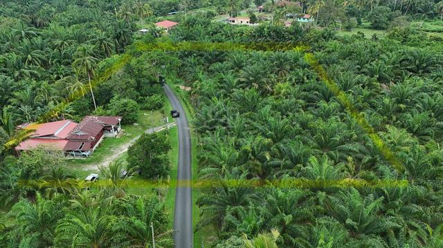3 EKAR🔥 Tanah Pertanian Untuk Dijual Tampin Negeri Sembilan TERMURAH 1