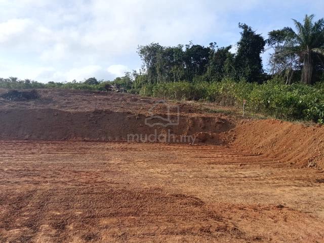 Harga Tak Masuk Akal 1.5 Ekar Rezab Melayu + Freehold @ Segamat Johor 1