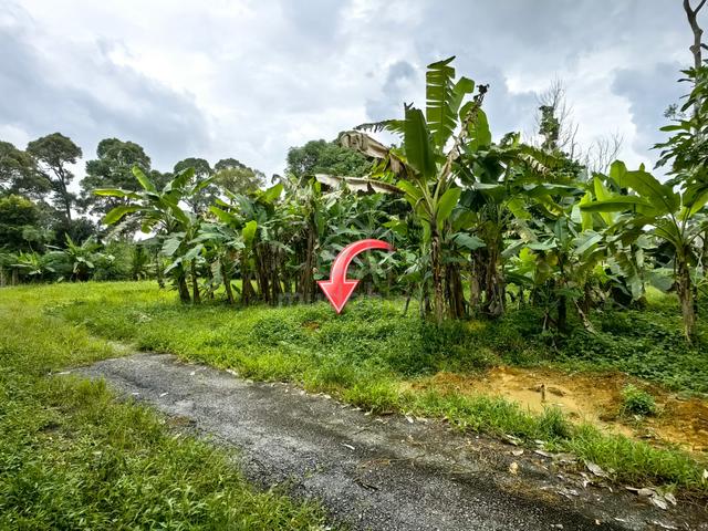 Tanah LOT BANGLO 965MP BLKG BANGUNAN MDM TELAGA MENGKUDU BUKIT PAYUNG 2