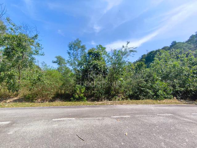 Freehold Bungalow Lot on high ground. 1