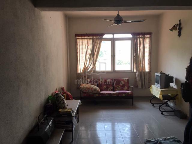 Greenlane Heights 2