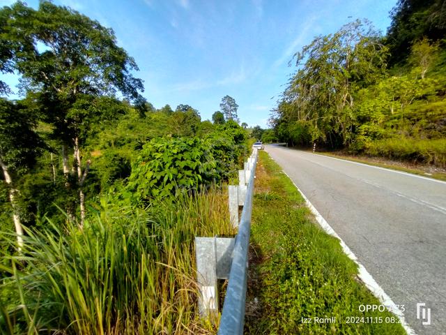 3.8 Ekar Tepi Jalan Ulu Dong Raub (BERBUKIT+VIEW CANTIK+INFRA MUDAH) 5