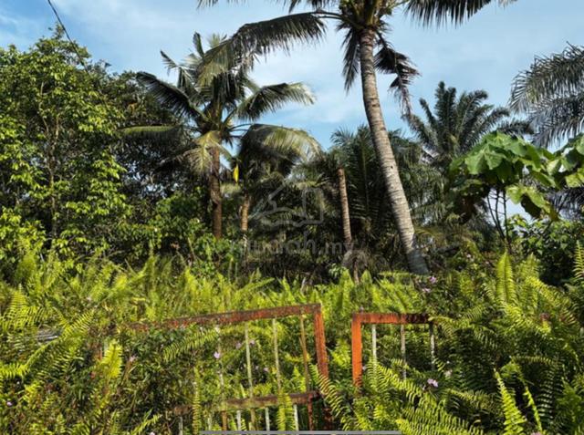 Pontian Bkt Panjang road side land 1