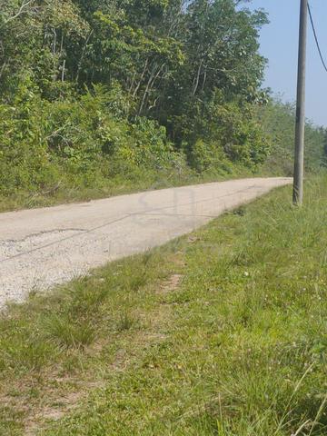 Kulim/4 relongTanah murah 1
