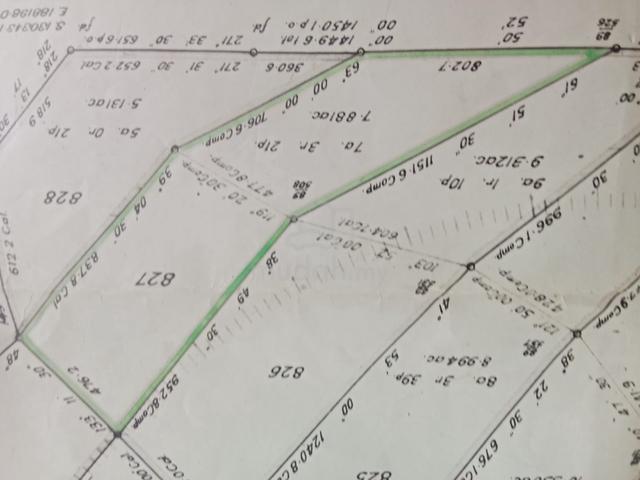 Free-hold agricutural Land for Sale in Tampin Keru 1