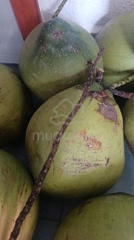 Coconut Pandan - photo 4 of 6