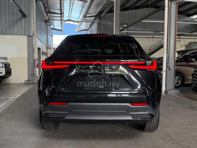 2023 Lexus NX 250 Most Wanted SUV in Malaysia !! - 4