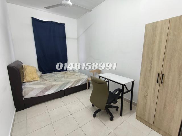 Fully Furnished Selangor Bandar Bukit Tinggi Room For Rent 1