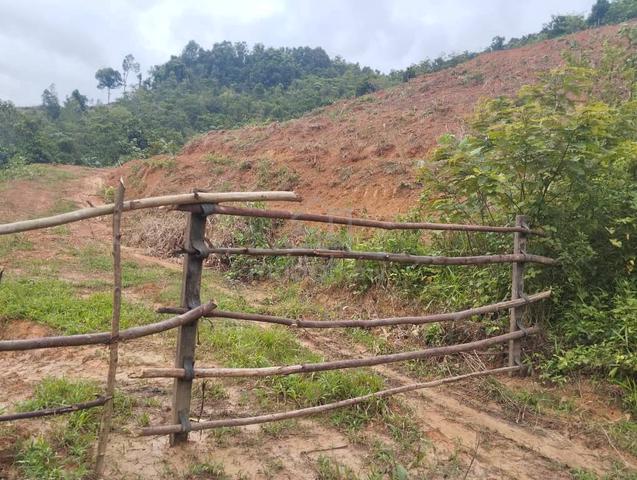 [Kebun Getah] Telok Datu, Pokok Sena, Kedah 1