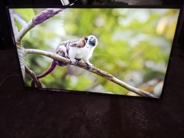 LG smart tv 4K 65inch good condition ada warranty - photo 3 of 6
