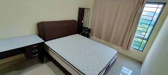 OUG Parklane 1